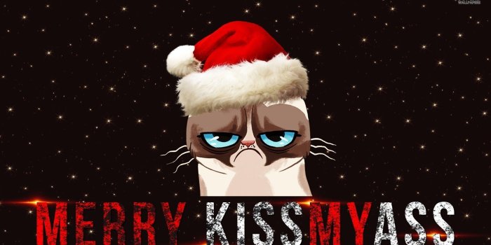 1920x1080 61+ Funny Christmas Wallpapers on WallpaperPlay