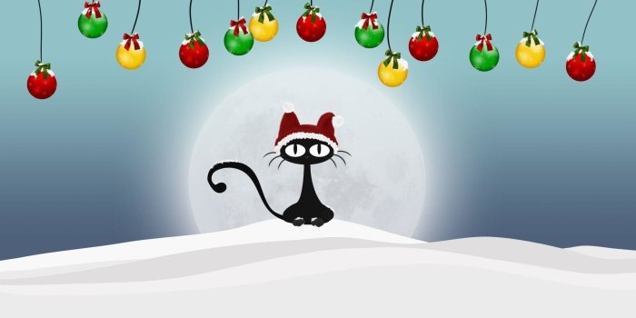 1920x1080 61+ Funny Christmas Wallpapers on WallpaperPlay