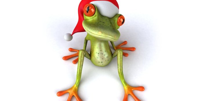 1332x850 Wallpaper frog, christmas, Santa, frog, funny, santa hat images for