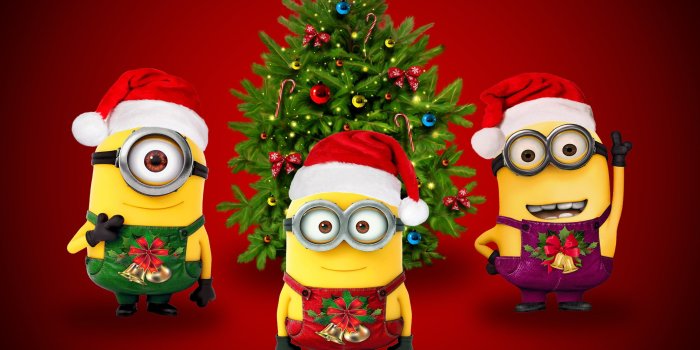 3000x2000 Funny Christmas Wallpaper ·① WallpaperTag