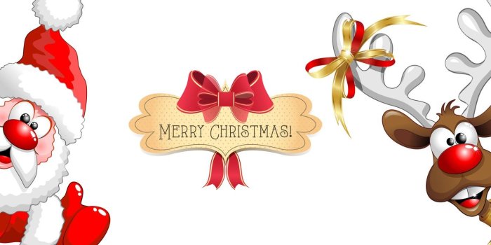 1332x850 Wallpaper new year, Santa Claus, funny, Merry Christmas, funny