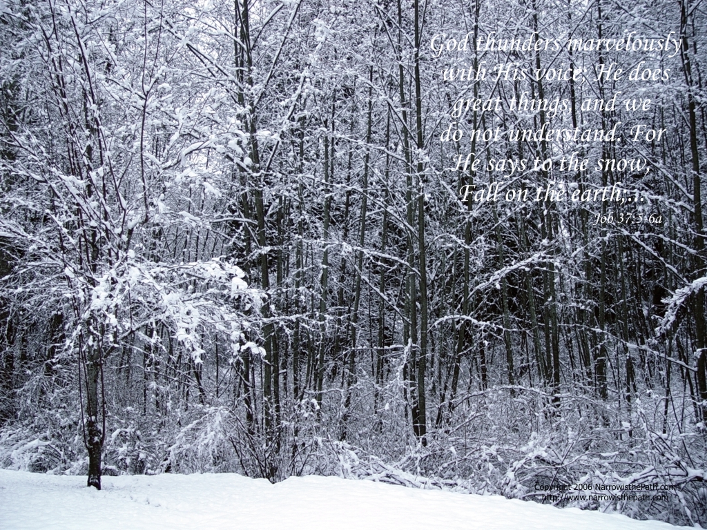 1024x768 Christian Wallpaper: Snow fall