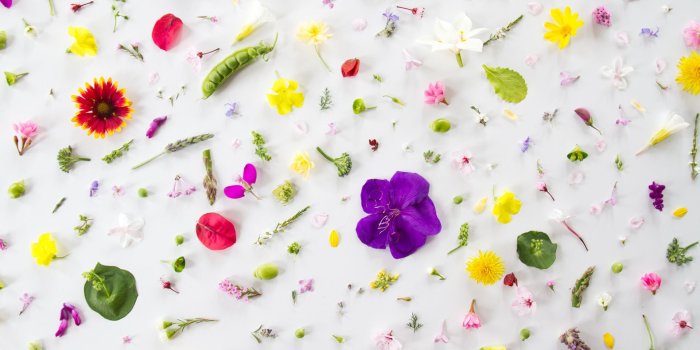 1920x1200 Pretty Desktop Wallpaper #Pretty #Desktop #Wallpaper | Desktop