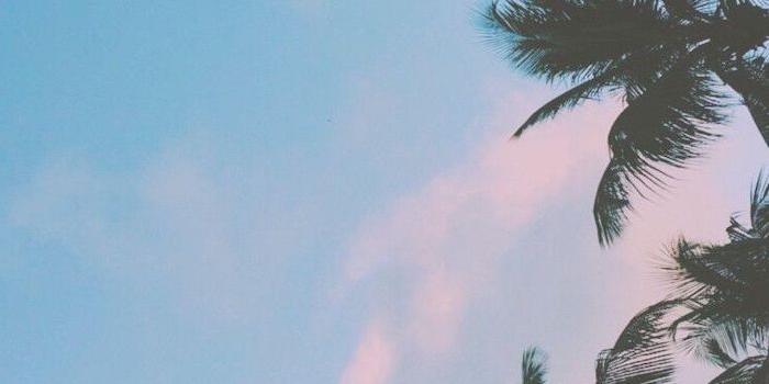 700x1244 ▷ 1001 + amazingly cute backgrounds to grace your screen