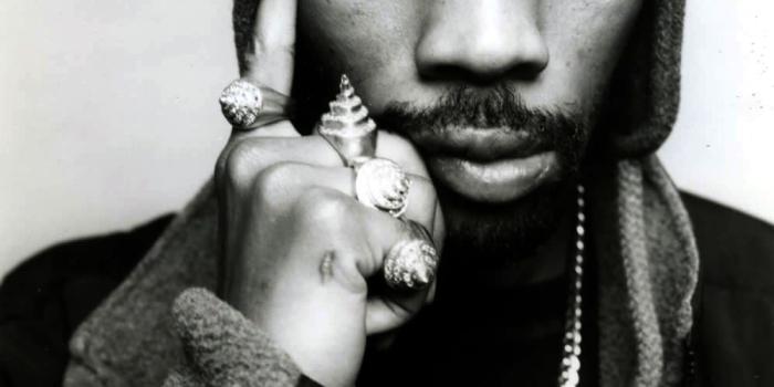 1000x1000 RZA | Music fanart | fanart.tv