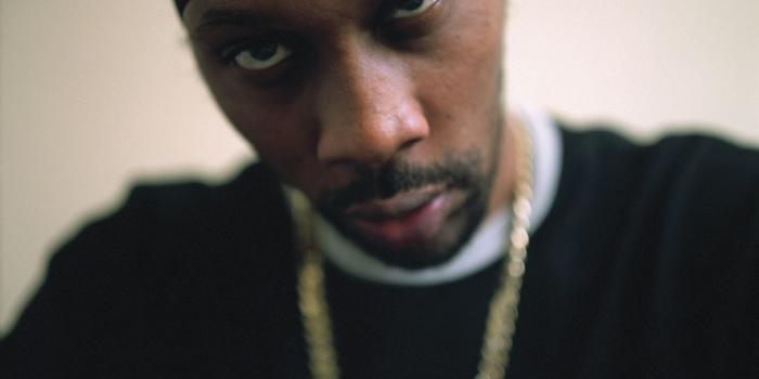 1120x1121 RZA - American Film actors HD Wallpapers and Photos | vivowallpapar.com