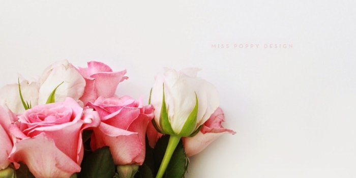 1600x1011 Free Desktop Wallpapers : Pretty Wallpapers, Wide Pretty HDQ 1600x1011