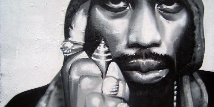 1024x768 RZA WU-TANG | hide two