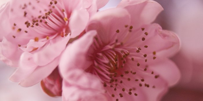 3888x2592 Pretty Desktop Backgrounds