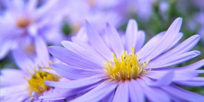 1920x1200 Pretty Backgrounds for Desktop (57+ pictures)