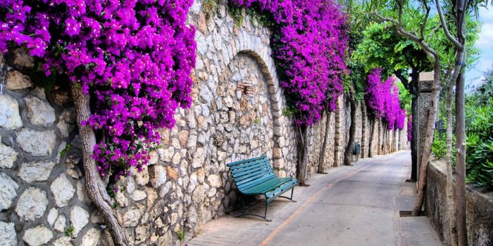 1332x850 Wallpaper trees, flowers, city, the city, benches, trees, street