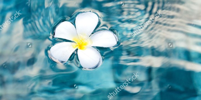 1443x1600 Wide HDQ Peaceful Wallpapers (Peaceful Pictures, 35), LanLinGLaureL