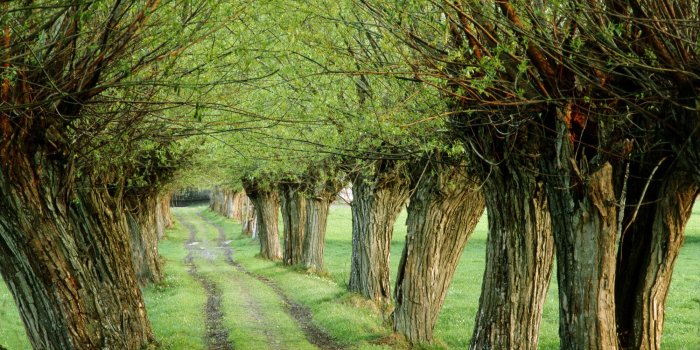 2000x1333 Early Spring Wallpaper Backgrounds - Peaceful Pictures For Desktop