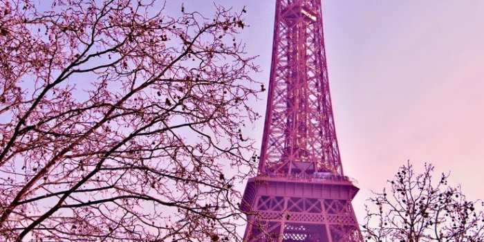 736x1099 46+] Pink Paris Wallpaper on WallpaperSafari