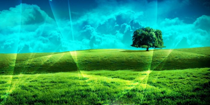 1280x804 Windows 7 plain wallpapers | Windows 7 plain stock photos