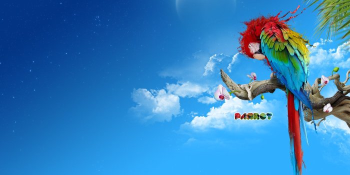 1920x1080 37 High Definition Windows 7 Wallpapers/Backgrounds For Free Download