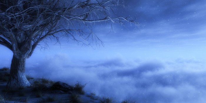 5760x1080 triple, Monitor, Screen, Wallpaper, Nature, Blue, Tree, Arbre 4K HD