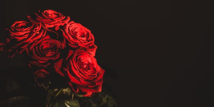 3840x2160 Download wallpaper 3840x2160 roses, bouquet, flowers, dark, red 4k