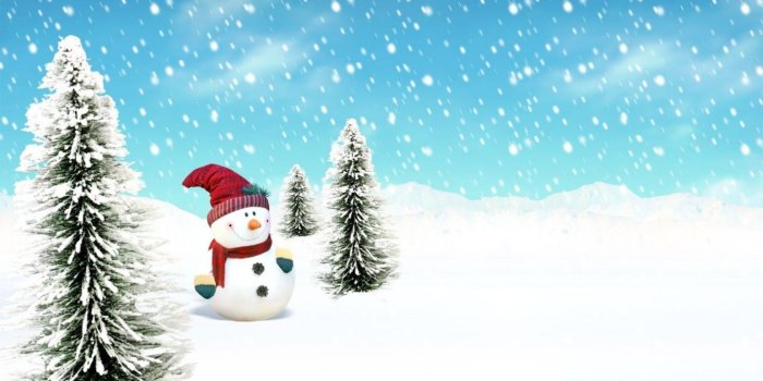 1440x900 50+ Festive Snowman Wallpapers - Download at WallpaperBro