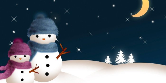 1600x1084 snowman lovers | Animals Zoo Park: Free Christmas Snowman Wallpapers