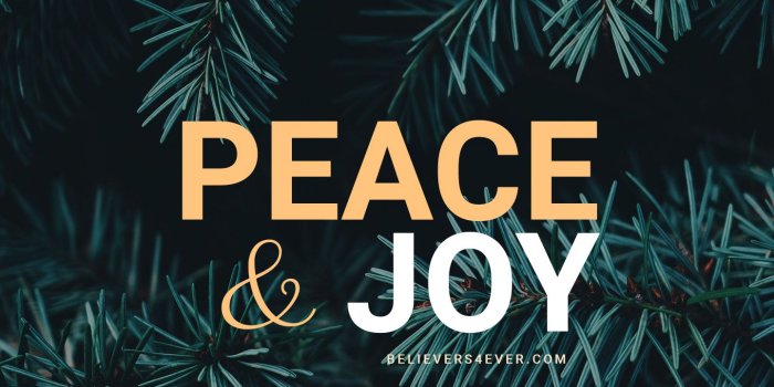 1440x2561 Peace and Joy | wallpaper | Pretty phone wallpaper, Scripture