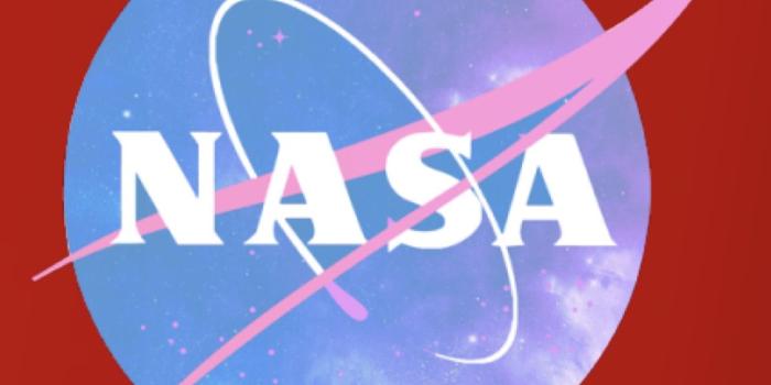 1242x2208 40+ NASA Logo Wallpapers - Download at WallpaperBro