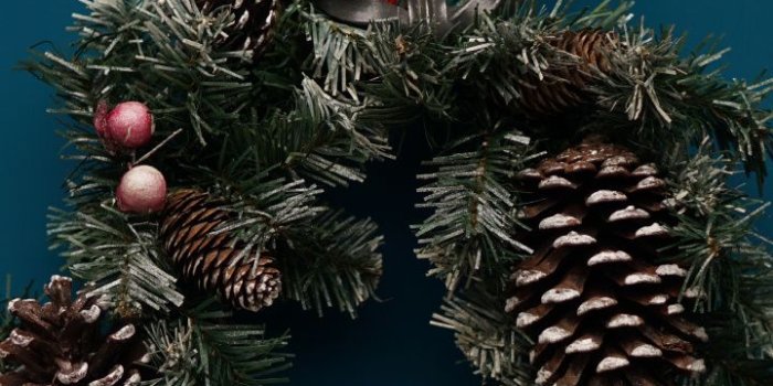 720x1280 Pine Family, Conifer Cone, Nativity Scene, Tree, Christianity HD