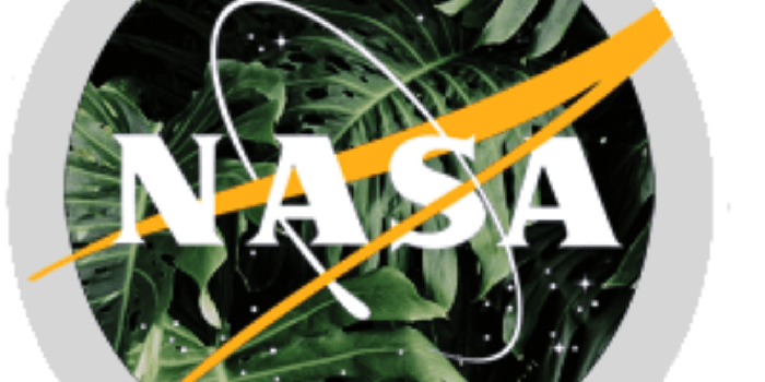 1267x1281 HD Aesthetic Nasa Logo , Png Download - Aesthetic Nasa Logo , Free