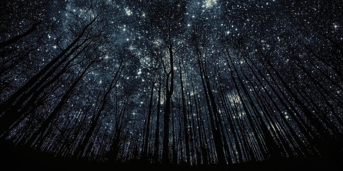 1920x1080 Photos Manipulation Forest Nigth Full Of Stars Backgrounds Desktop