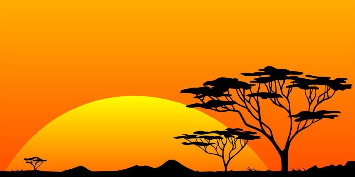 1920x1080 Best 56+ African Backgrounds on HipWallpaper | African Romantic