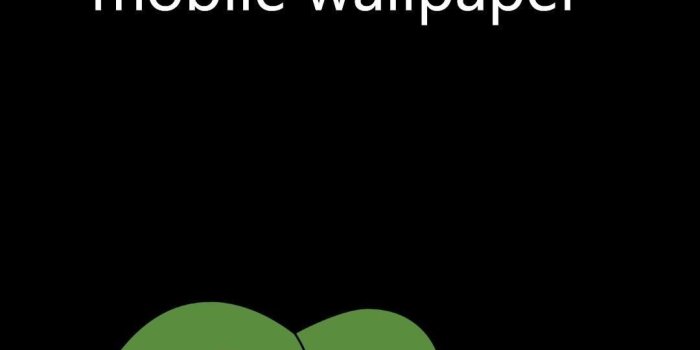 1080x1920 78+ Pepe Meme Wallpapers on WallpaperPlay