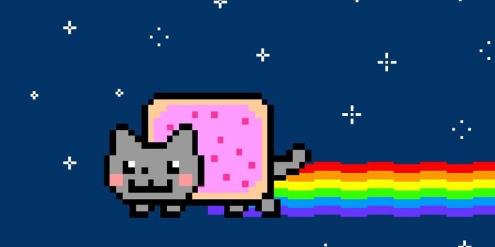 1080x1920 Cat Meme Wallpaper For Phone (#195284) - HD Wallpaper Download