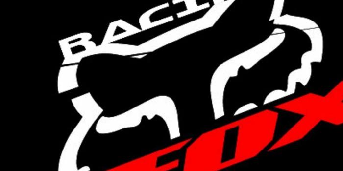 1024x768 Fox Racing Wallpaper HD 1280×1024 Free Fox Racing Wallpapers (51