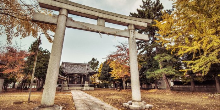 2048x1356 Japanese Shrine In The Fall Wallpaper - Desktop Japan Shrine