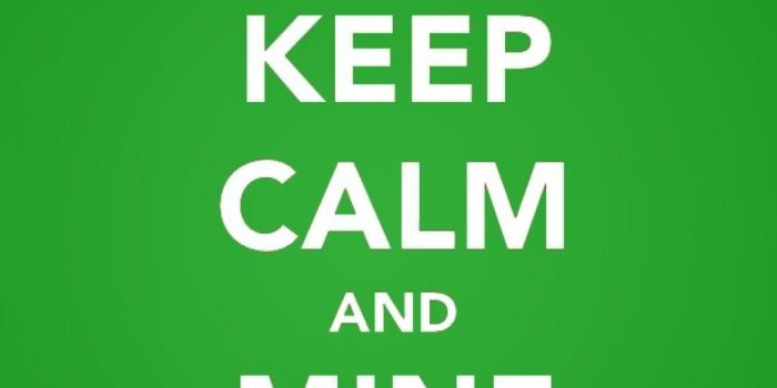 1080x1920 Hd minecraft mobile phone wallpapers 1080x1920 steve creeper