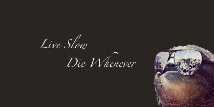 1920x1080 Funny Sloth Wallpapers (73+ images)