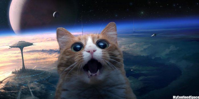 1600x747 Space Cat - quickmeme