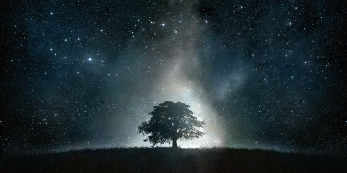 1920x1080 Trees stars artwork night landscapes night sky 1920x1080 wallpaper