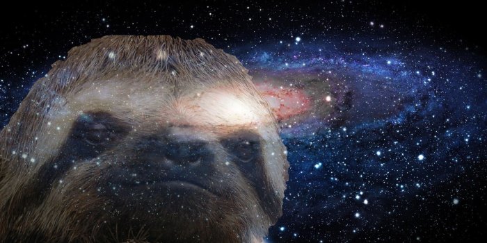1680x1050 49+] Space Sloth Wallpaper on WallpaperSafari