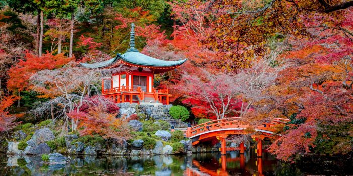 3840x2160 Download 3840x2160 Japanese, Shrine, Bridge, Autumn, Fall, Stream