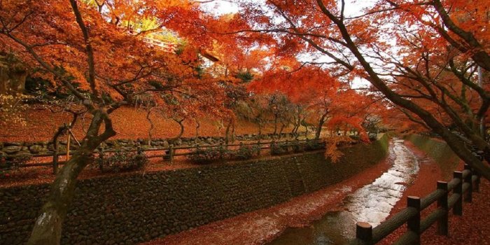 1152x792 Shrine Tag wallpapers: Temple Snow Shrine Torii Winter Japan Free