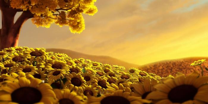 1920x1080 Sunflowers under an autumn tree wallpaper - Digital Art wallpapers