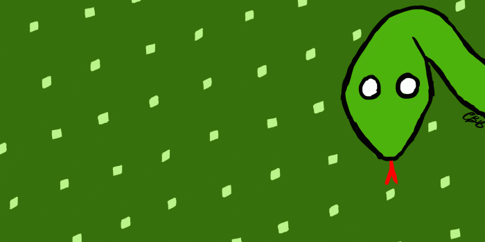 2286x1270 Slytherin Wallpapers - Top Free Slytherin Backgrounds - WallpaperAccess