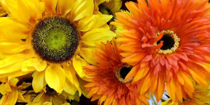 1920x1440 Background,wallpaper,autumn,fall,flower - free photo from needpix.com