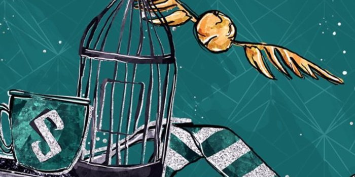 736x1308 Harry Potter Wallpaper Slytherin - (58+ images)