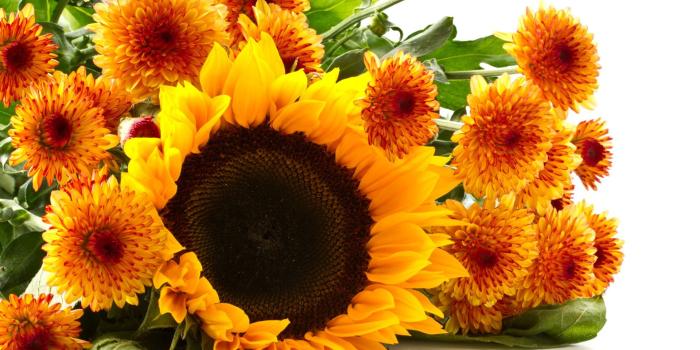 1920x1080 Sunflower Bouquet Wallpaper - Wallpaper Stream