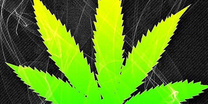 2400x3840 Weeds Wallpaper HD - Best Cool Weeds Wallpapers for Android - APK
