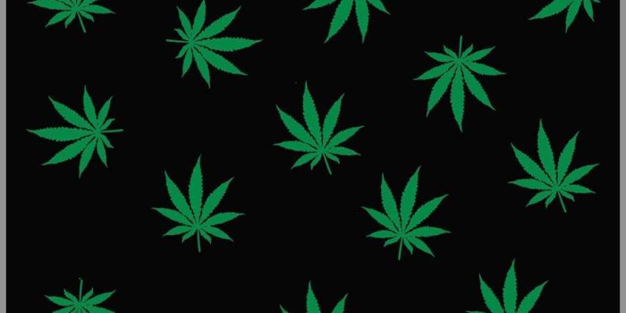 1024x768 77 Beautiful Pictures Of Weed Wallpaper | Best of Wallpaper HD