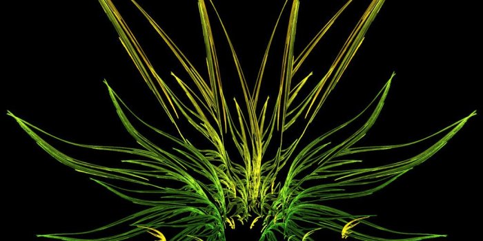 1024x768 100+ Random Weed Wallpaper HD Wallpapers – My Sweet Home