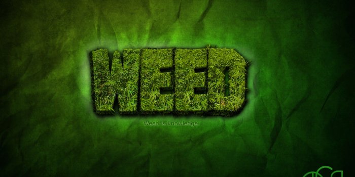 1920x1080 Weed Wallpaper Hd Desktop